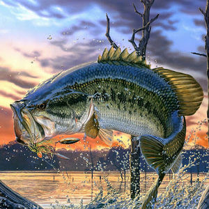 Meet your Posher, Nathaniel